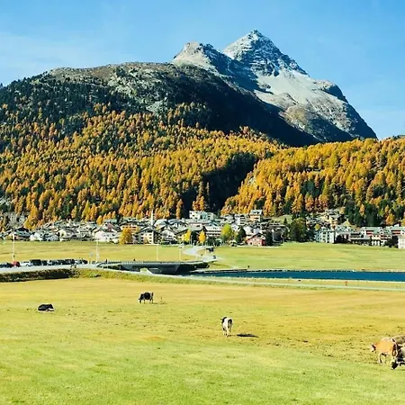 Διαμέρισμα Chesa Palueds